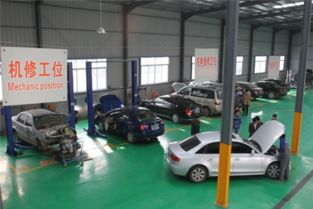 盛德奇嘉加盟 掘金汽车装饰用品市场的商业新机遇